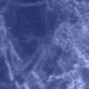 Meet your Posher, Kristin